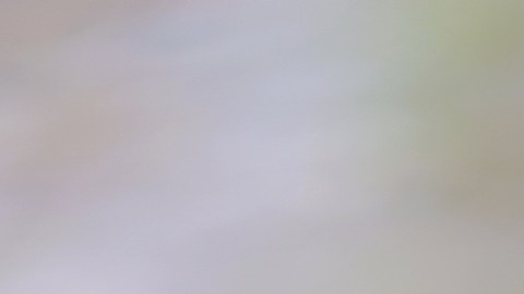 Nueva York exigirá advertencias en redes sociales por riesgos a la salud mental