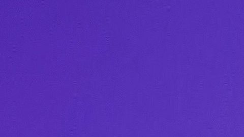 Renata Notni decidió pronunciarse y señaló que el video difundido fue sacado de contexto.