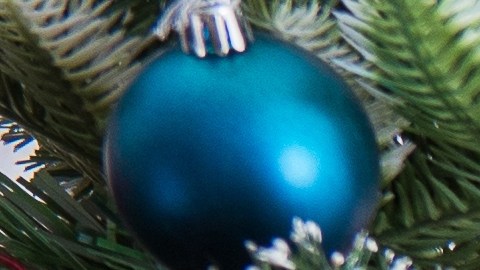 Hidratación y potencia: sandía, pera y plátano para resetear tu cuerpo. La ciencia culinaria es tu mejor medicina contra la resaca.