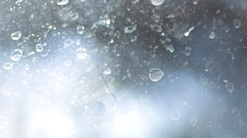 EE.UU. pone fin a programas de reunificación familiar para 7 países de América Latina y el Caribe