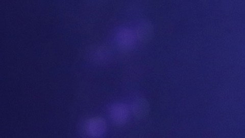 Como medida preventiva, Roberto Carlos y otros tres integrantes de su equipo fueron trasladados a un hospital de Brasil.