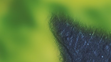 Este Rodaballo al Horno con vinagreta caliente es la prueba de que un plato de fiesta puede ser sorprendentemente fácil de preparar.