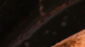 Es una alternativa diferente para disfrutar en Navidad.