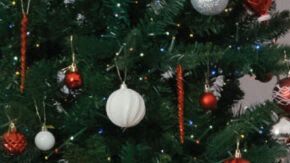 El programa refleja la misión central de Catholic Charities: servir a todos, sin importar su fe o procedencia, con respeto, amor y justicia social.