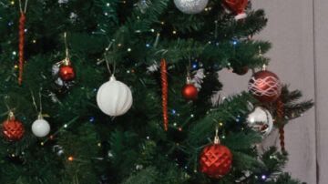 El programa refleja la misión central de Catholic Charities: servir a todos, sin importar su fe o procedencia, con respeto, amor y justicia social.