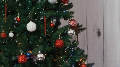 El programa refleja la misión central de Catholic Charities: servir a todos, sin importar su fe o procedencia, con respeto, amor y justicia social.