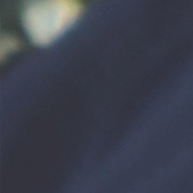 seguro-social-10-de-diciembre