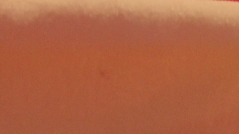 seguro-social-5108-dolares-10-de-dicembre-2025