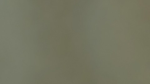 seguro-social-cola-pago-mensual-promedio-jubilados-2026