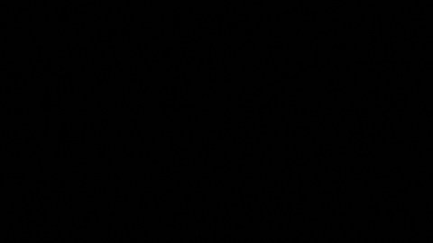 seguro-social-pagos-a-jubilados-noviembre-2025