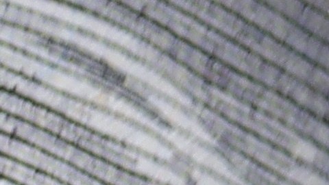 seguro-social-pagos-diciembre-2025