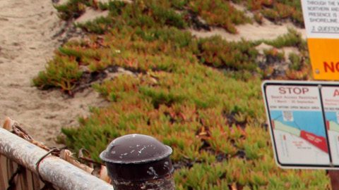 Oficiales de la Fuerza Aérea de Estados Unidos colocando un letrero que advierte sobre un ataque de tiburón.