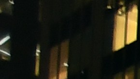 Descubra curiosidades  mientras disfruta del espíritu navideño de lugares como el Rockefeller Center.