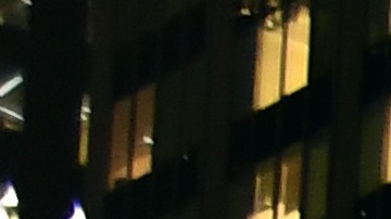 Descubra curiosidades  mientras disfruta del espíritu navideño de lugares como el Rockefeller Center.