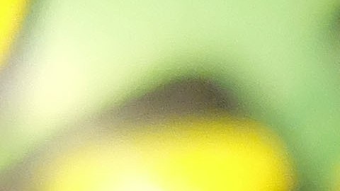 powerball-numeros-recomendados