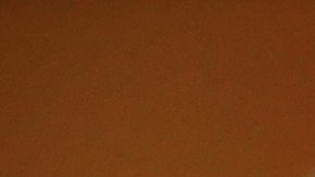 Aprende a preparar una deliciosa sopa asiática en pocos minutos.