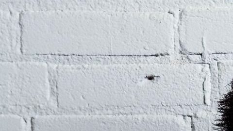 El suicidio es ahora la segunda causa principal de muerte en jóvenes de 10 a 24 años.