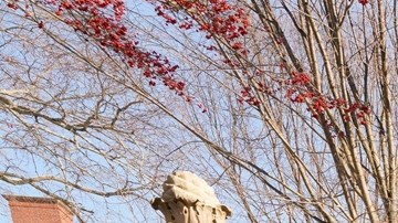 Reanudan la búsqueda del pistolero que mató a dos estudiantes en la Universidad de Brown