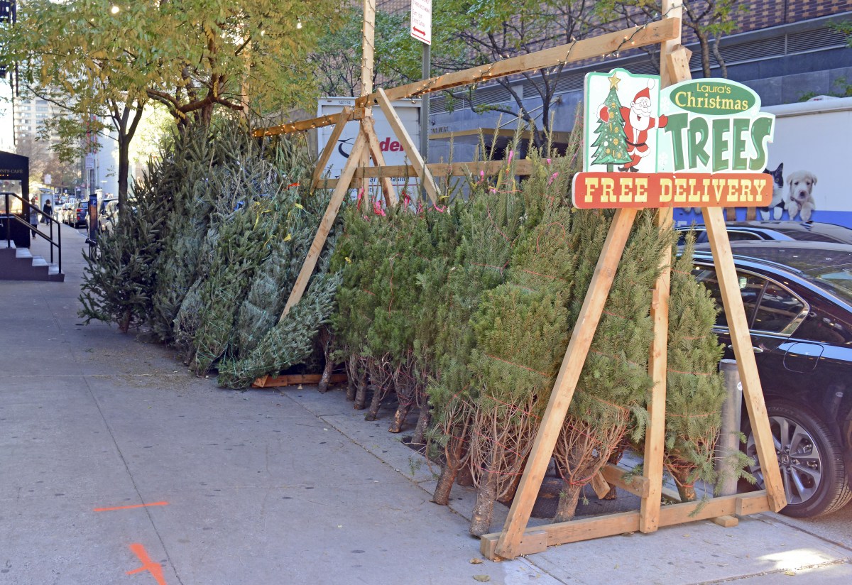 Cuánto cuestan los árboles de Navidad naturales en Nueva York