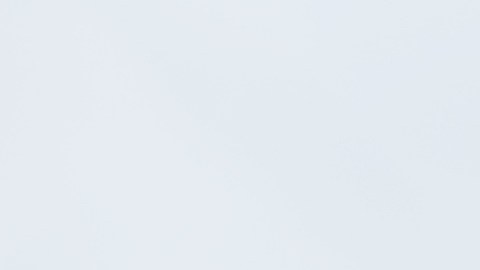 El procedimiento consiste en instalar una aplicación en dos dispositivos: el teléfono viejo, que actuará como cámara, y el celular actual, que funcionará como monitor.