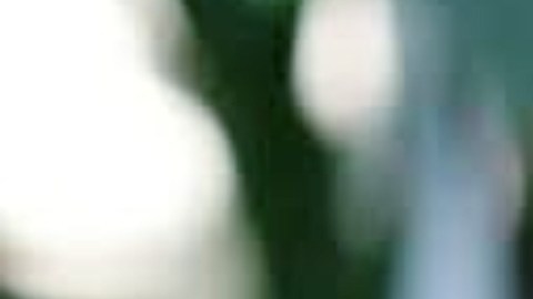 La cámara principal vuelve a ser uno de los sellos de vivo y el X300 Ultra no será la excepción.