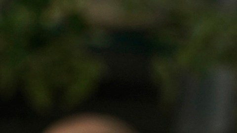 Zohran Mamdani, presidente electo de Nueva York, asumirá el cargo en cuestión de días.