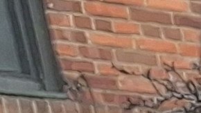 Gaspar, Melchor y Baltazar caminaron este martes por las calles del Alto Manhattan.