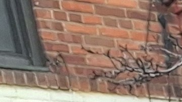 Gaspar, Melchor y Baltazar caminaron este martes por las calles del Alto Manhattan.