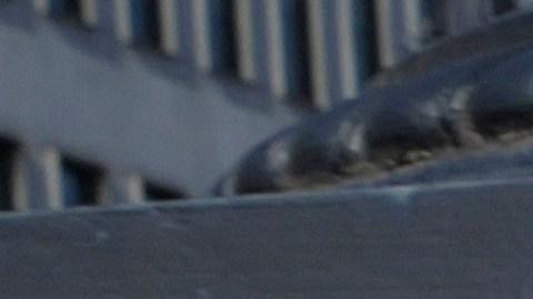 Es el primer encuentro entre Machado y Trump.