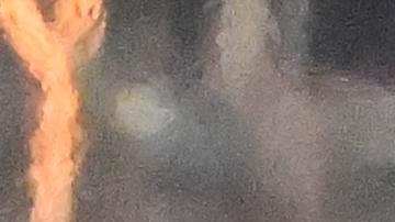 Nicolás Maduro (2-i) y su esposa, Cilia Flores (d), llegan al helipuerto de Wall Street este lunes, para ser traslados al tribunal federal en Nueva York (EE.UU.).