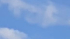 Llamado urgente a vacunarse tras 136,000 casos de gripe en NYC