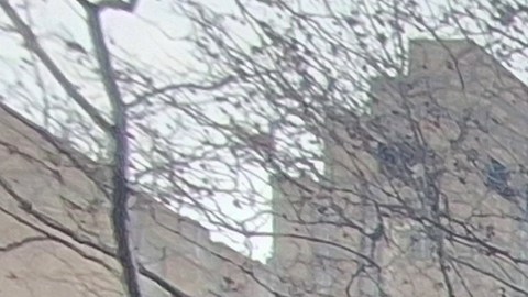 Centenares de migrantes del país caribeño se congregaron para seguir de cerca, protestar y celebrar, la primera audiencia del líder del régimen venezolano