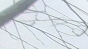 La Coalición de Preservación del Barrio Chino protestó este jueves por el inicio de asambleas informativas virtuales que abordarán el inminente inicio de este nuevo recinto carcelario.