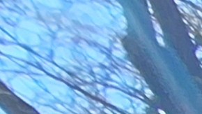 El Harlem el dominicano José Tejado se mostró impresionado por las acciones violentas de ICE contra comunidades trabajadoras.