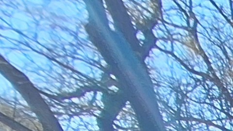 El Harlem el dominicano José Tejado se mostró impresionado por las acciones violentas de ICE contra comunidades trabajadoras.