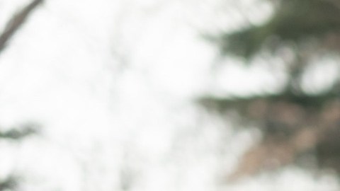 El Alcalde Zohran Mamdani ofreció este sábado un reporte sobre los preparativos para la tirmenta.