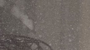 Ante la ola de frío más agobiante de los últimos ocho años las autoridades recomiendan mantenerse abrigados y estar pendiente de los vecinos que viven solos.