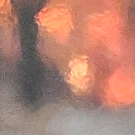 Ambos usaron auriculares para seguir la traducción del procedimiento.