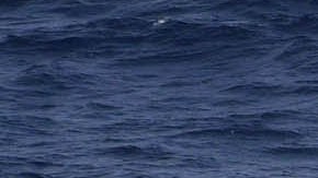 Foto de archivo proporcionada por la Guardia Costera de Estados Unidos (USCG) en la que se ve a rescatistas junto a una embarcación con migrantes volcada en el Paso de la Mona, que separa la República Dominicana y Puerto Rico.