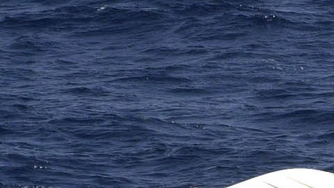 Foto de archivo proporcionada por la Guardia Costera de Estados Unidos (USCG) en la que se ve a rescatistas junto a una embarcación con migrantes volcada en el Paso de la Mona, que separa la República Dominicana y Puerto Rico.