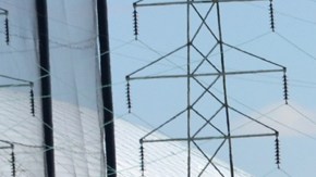 Un perro que estaba dentro del automóvil murió en el accidente.