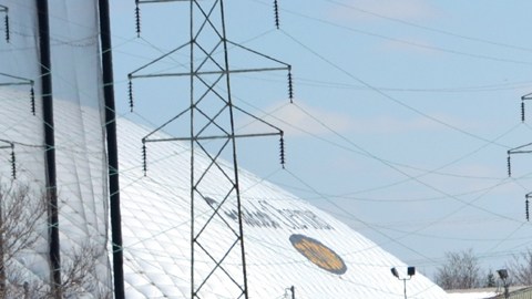 Un perro que estaba dentro del automóvil murió en el accidente.