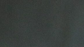 New York Mets' Carlos Beltran celebrates hitting a grand slam against Detroit Tigers pitcher Daniel Schlereth in the fifth inning of a baseball game in Detroit, Tuesday, June 28, 2011 (AP Photo/Paul Sancya)