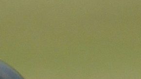 Murió Sidney de Jong a los 46 años, ex estrella que representó a Países Bajos en el Clásico Mundial de Béisbol