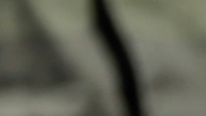 Se espera que la medida no genere cambios operativos inmediatos.