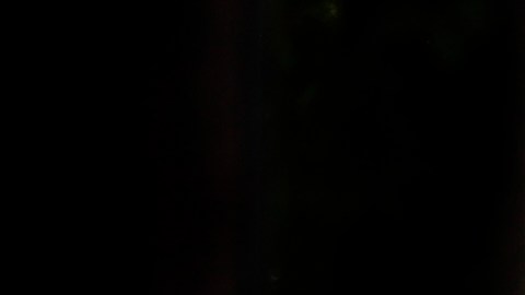 El FBI está colaborando con las autoridades locales en la búsqueda del sospechoso.