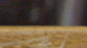 Logo del Departamento de Estado