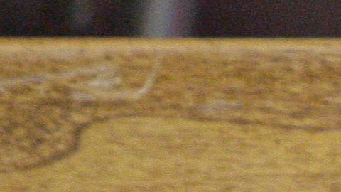 Logo del Departamento de Estado