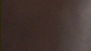 Congresista republicano Tom McClintock