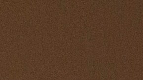 Exgobernadora de Puerto Rico, Wanda Vázquez